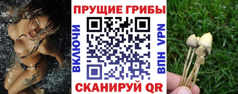 Галлюциногенные грибы MAGIC MUSHROOMS  как найти наркотики  OMG сайт  Троицк 